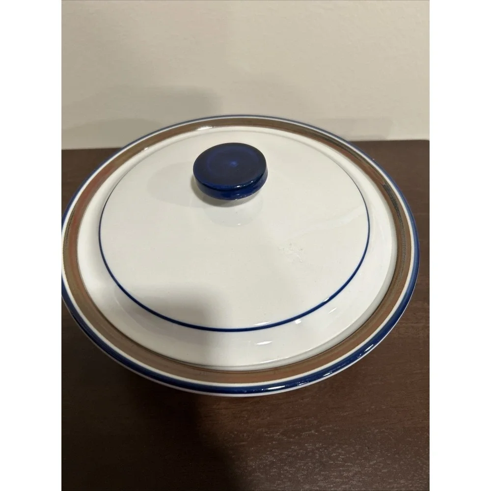 salem‎ stoneware Casserole Lidded Dish Blue